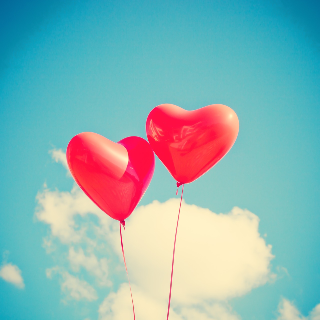 coups de coeur